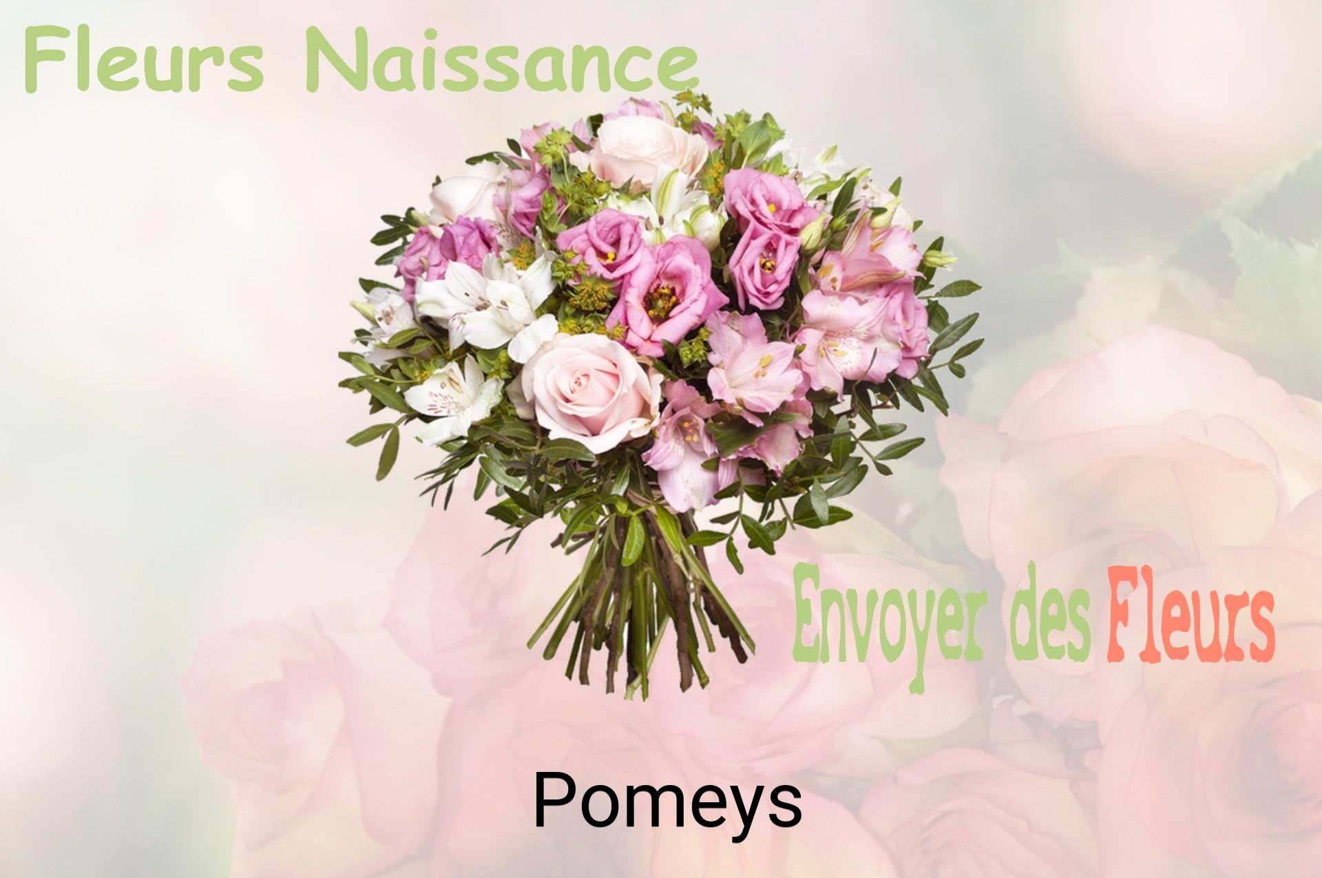 Bouquet de fleurs de naissance livré à Pomeys